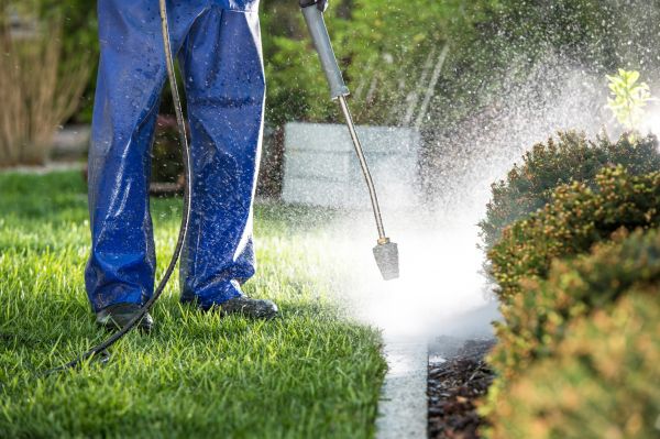 Cost of Curb Cleaning in Ringgold