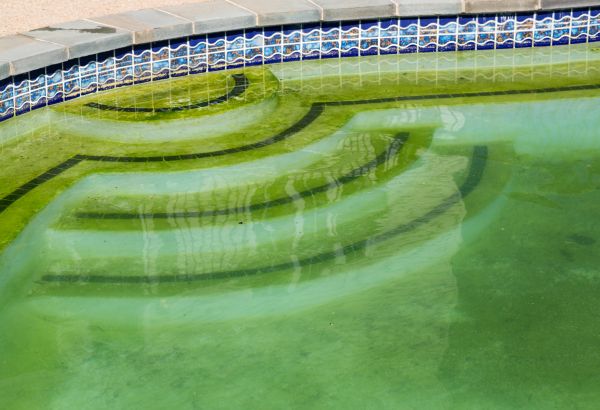 Cost of Pool Deck Algae Removal in Ringgold