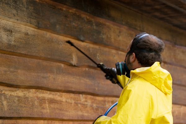 Cost of Cedar Siding Washing in Ringgold