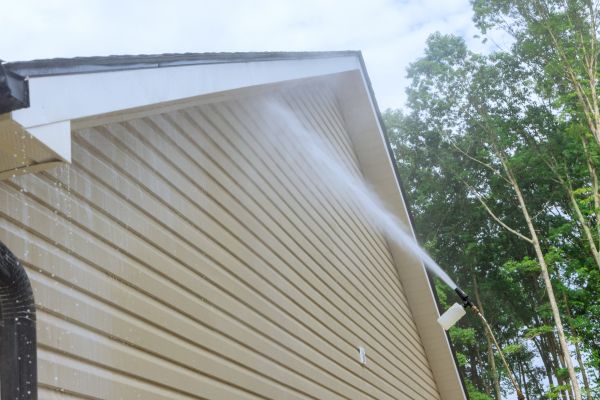 Cost of Siding Cleaning Service in Ringgold