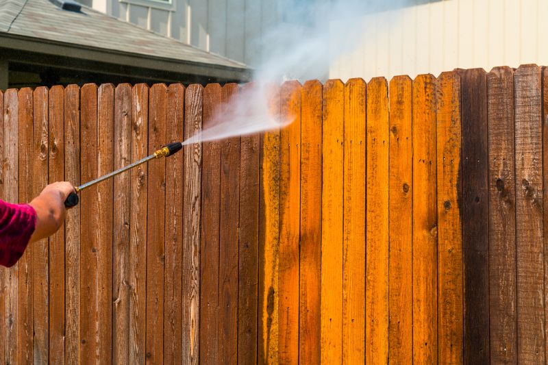 Iron Fence Pressure Washing