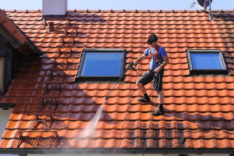 Cleaning a roof surface